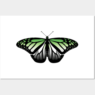 Aromantic Pride Butterfly Posters and Art